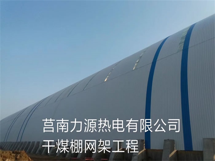 霸州力源热电有限公司干煤棚网架工程